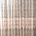 DIENAS AIZKARI 24079