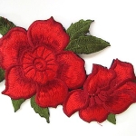 APLIKĀCIJA "ROZE" 3023