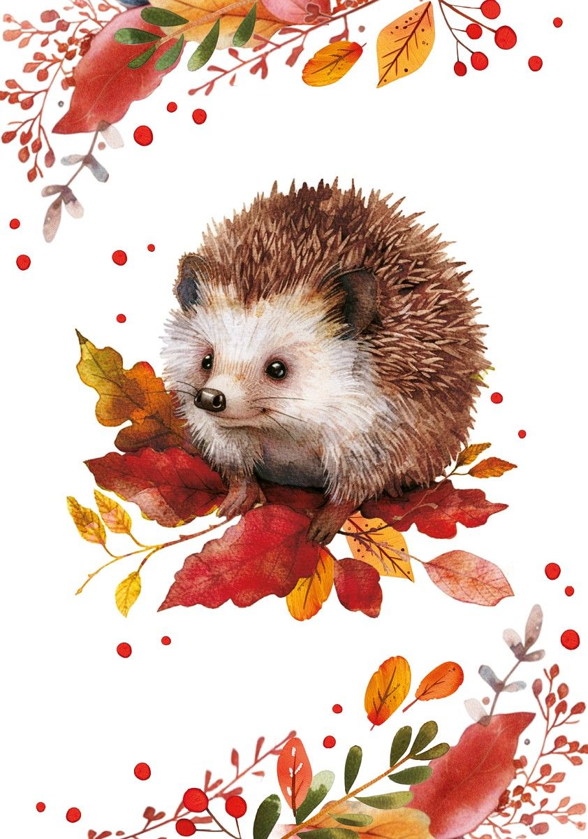 IGEL KITCHEN TOWEL digital print 50*70cm IGEL - Image 1